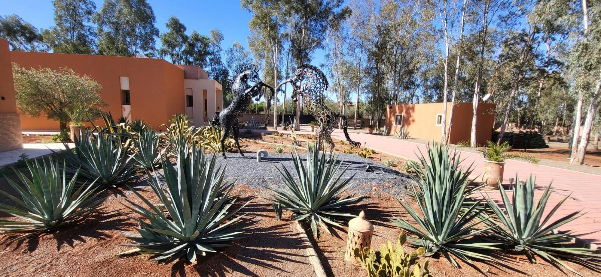 Villa Le Jardin De Jeanne à Marrakesh Extérieur photo
